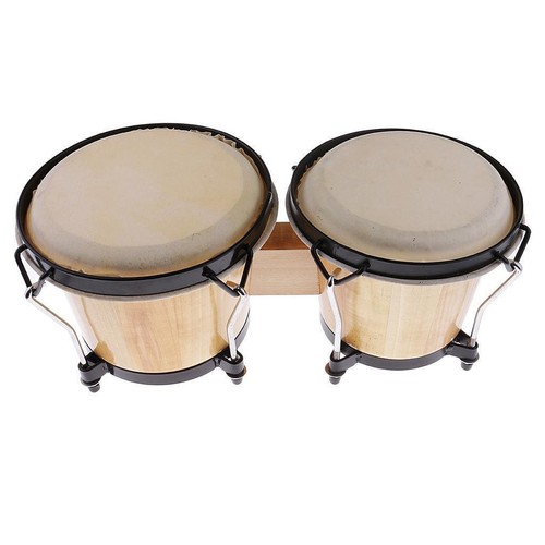 Bongo drums and - bongo,