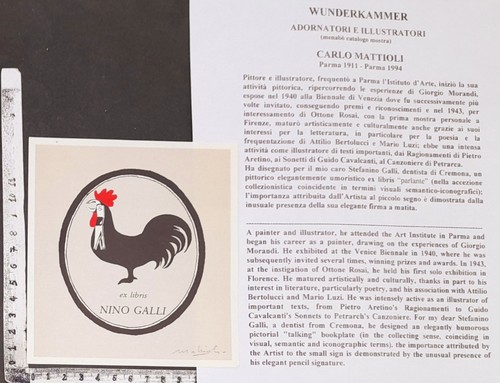 Wunderkammer exlibris 595 - exlibris,