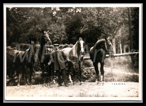 Foto famiglia viaggio in - famiglia,