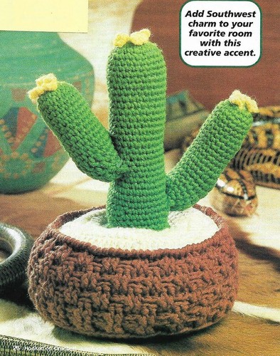 Pianta cactus fiorita - di,