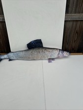 Meradiso Pesce Imbottito ? Cuscino a Forma di Cuscini Decorativi Uomo Grotta.