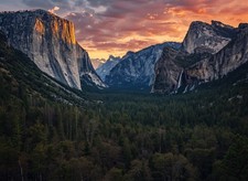 Foto A4 Orizzontale Natura
