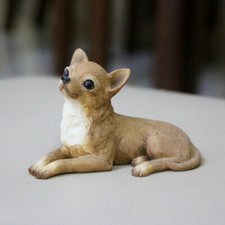 Simulazione Mini Bellissimo