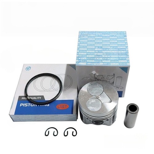 New piston with ring - new,