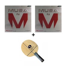 competizione futurespin