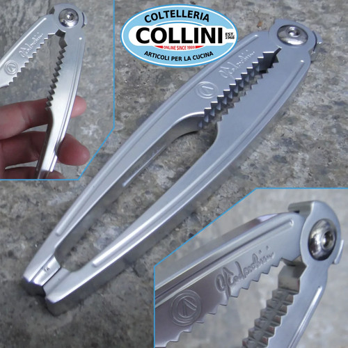 Artis pinza per crostacei - pinza,