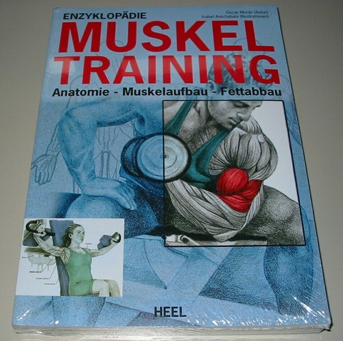 Enzyklopädie muskel training - muskel,