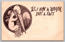 Postcard Its Not A Rumor But A Fact Stork Baby Birth Announcement Fantasy