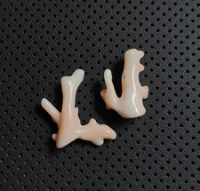 Ramo di corallo bianco marino