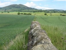Photo 6x4 Wheat to the left
