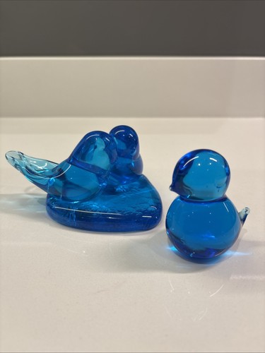 Splendidi uccellini blu - splendidi,