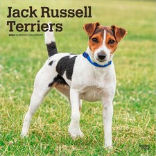 Jack Russell Terriers 2026