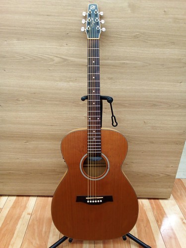 Seagull chitarra acustica - chitarra, s6