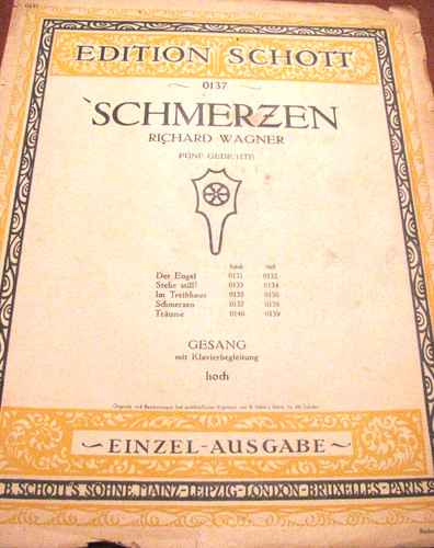 Wagner schmerzeen - wagner,