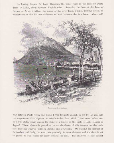 Lugano lügàn lago - lügàn,