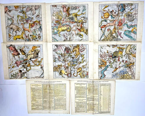 Raro set mappe - raro,
