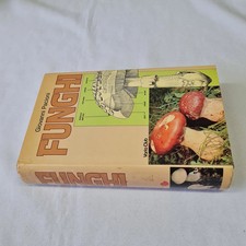 (Giovanni Pacioni) Funghi 1985