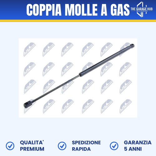 Coppia molle gas - molle, a