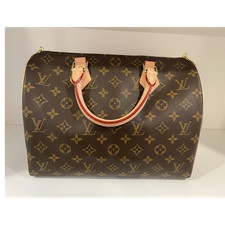 Louis Vuitton Monogram Satchel