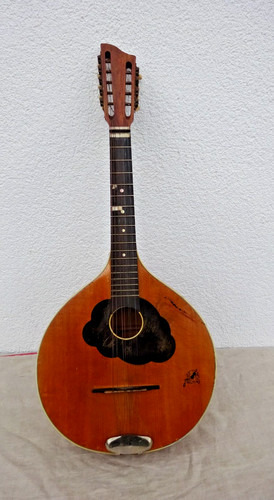 Cetra del bosco - framus, 79