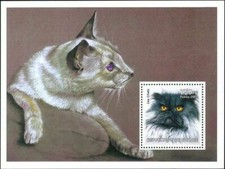 Guinea 2002 Domestici Gatti Animali Animali Persiano M S Mnh