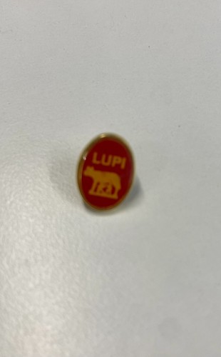 Pin spilla badge distintivo - badge,