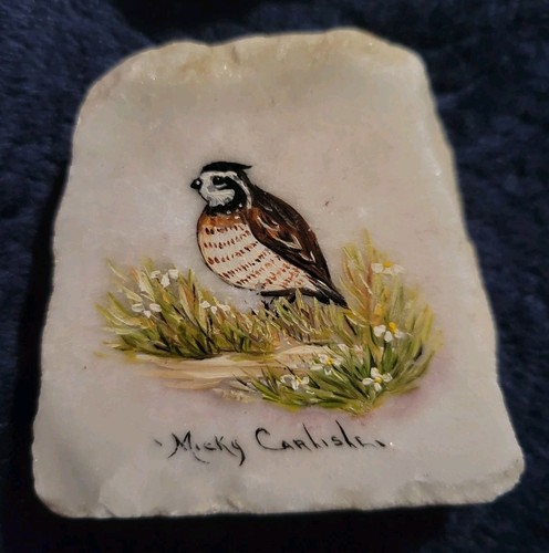 Quaglia northern bobwhite - quaglia,