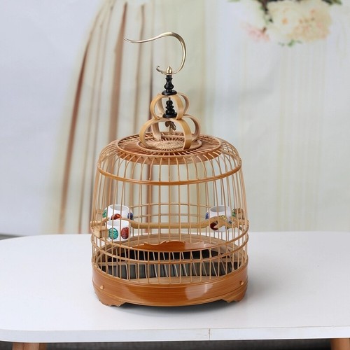 Chinese old bamboo - , cm