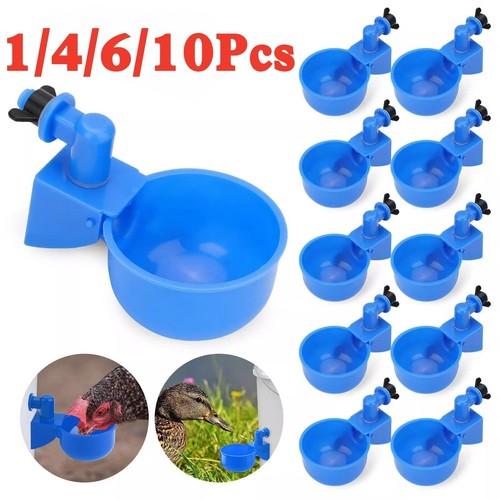 Kit bicchieri acqua - kit,