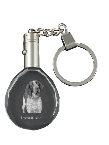 Bracco italiano ciondolo - bracco, italiano,