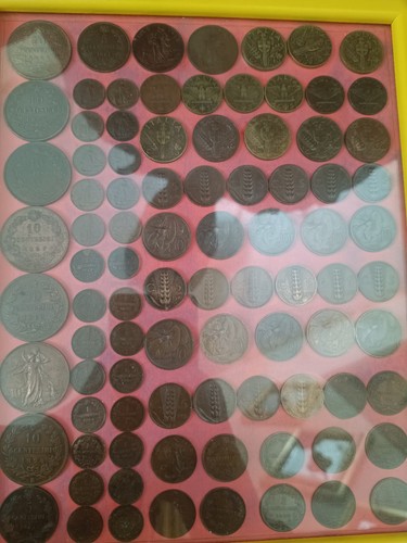 Collezione monete regno - collezione,