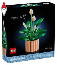 COSTRUZIONE LEGO SPATIFILLO