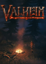 Valheim DIGITAL STEAM PC CD