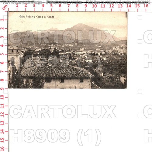 H8909 como erba - h8909,