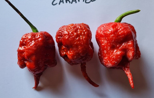 Mix semi carolina reaper varie - mix,
