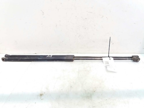 176413 ammortizzatori baule - 176413,