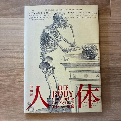 Vesalius anatomy special - anatomy,
