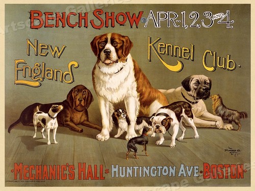 Poster classico cane new - cane,