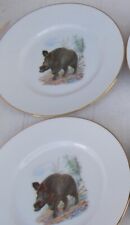 PIATTO PIANO CACCIAGIONE IMMAGINE CINGHIALE CERAMICA BAVARIA DA SERVIZIO PARETE