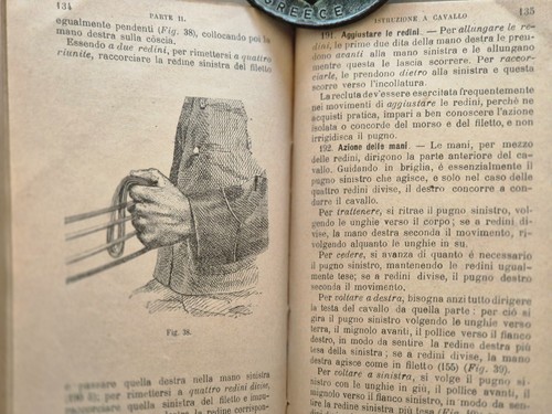 Guida del cavallo reggimento - del,