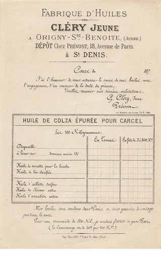 Aisne olearia origny - 02,