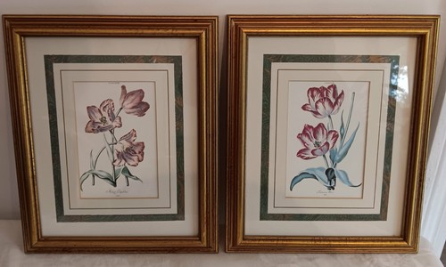 Stampe botaniche vintage - 2,