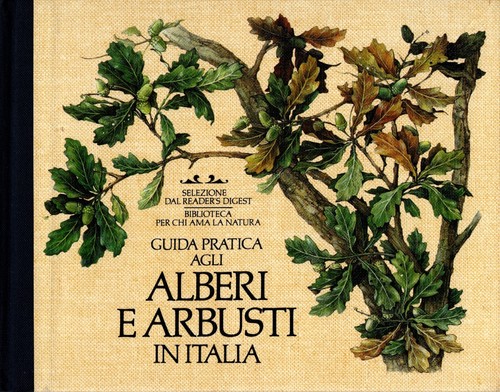 Guida pratica agli - , e