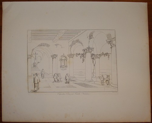 Goldicutt pinelli castel - goldicutt,