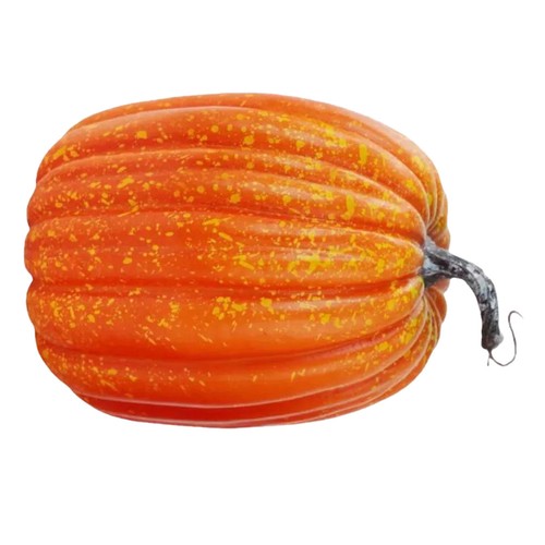 Zucca simulazione zucche - simulazione,