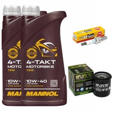 Kit Revisione Olio 2L Filtro