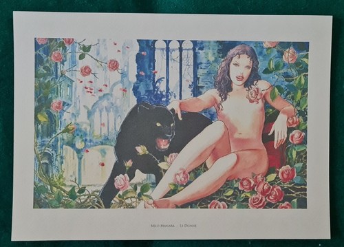 Manara stampa non firmata - manara,
