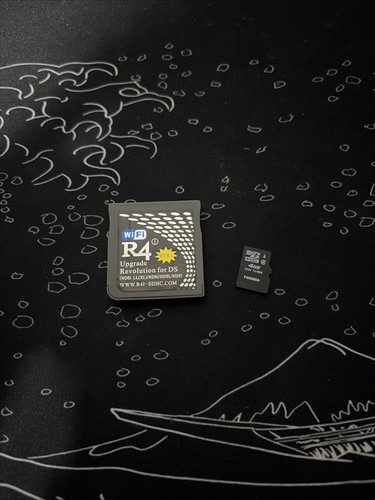 Nintendo gioco - r4, ds