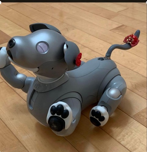 Sony aibo ers 1000 - sony, black