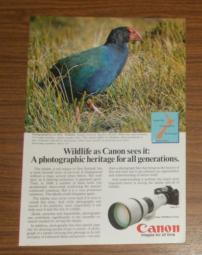 Rara pubblicità fotocamera